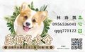 府城名犬舍 的會員頭像