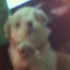 bbcallyy 的會員頭像