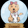 王大胖寵物坊 的會員頭像