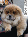 點選圖片可放大