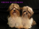 點選圖片可放大