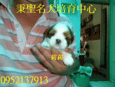 點選圖片可放大
