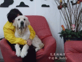 點選圖片可放大