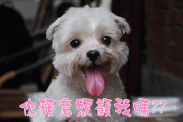 點選圖片可放大