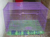 點選圖片可放大