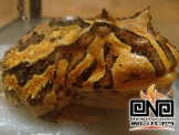 點選圖片可放大