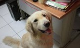點選圖片可放大