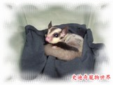 點選圖片可放大