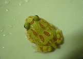 點選圖片可放大
