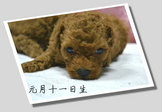 點選圖片可放大
