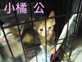 點選圖片可放大