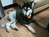 點選圖片可放大