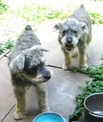 點選圖片可放大