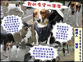 點選圖片可放大