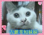 點選圖片可放大