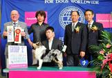 點選圖片可放大