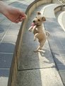 點選圖片可放大