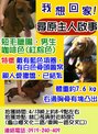 點選圖片可放大