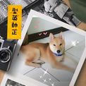 點選圖片可放大