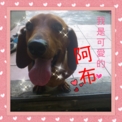 點選圖片可放大