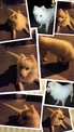 點選圖片可放大