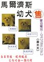 點選圖片可放大