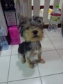 點選圖片可放大