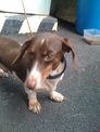 點選圖片可放大