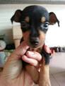 點選圖片可放大