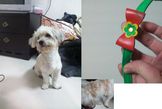 點選圖片可放大