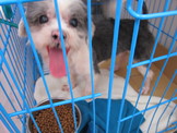 點選圖片可放大
