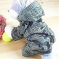 點選圖片可放大