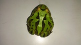 點選圖片可放大