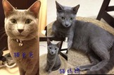 點選圖片可放大