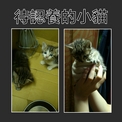 點選圖片可放大