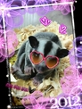 點選圖片可放大