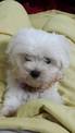 點選圖片可放大