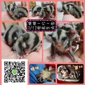 點選圖片可放大