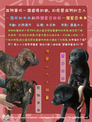 點選圖片可放大