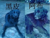 點選圖片可放大