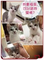 點選圖片可放大