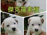 點選圖片可放大
