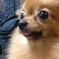 點選圖片可放大