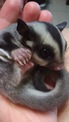 點選圖片可放大