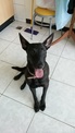 點選圖片可放大