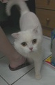 點選圖片可放大