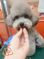 點選圖片可放大