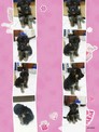 點選圖片可放大