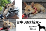 點選圖片可放大