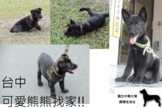 點選圖片可放大